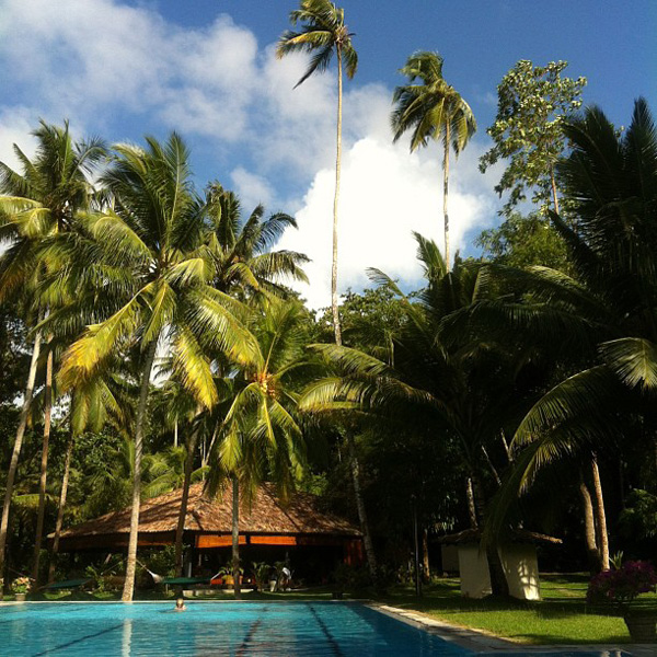 Achieving Success Or Five Steps 1 To Paradise Branding For Results