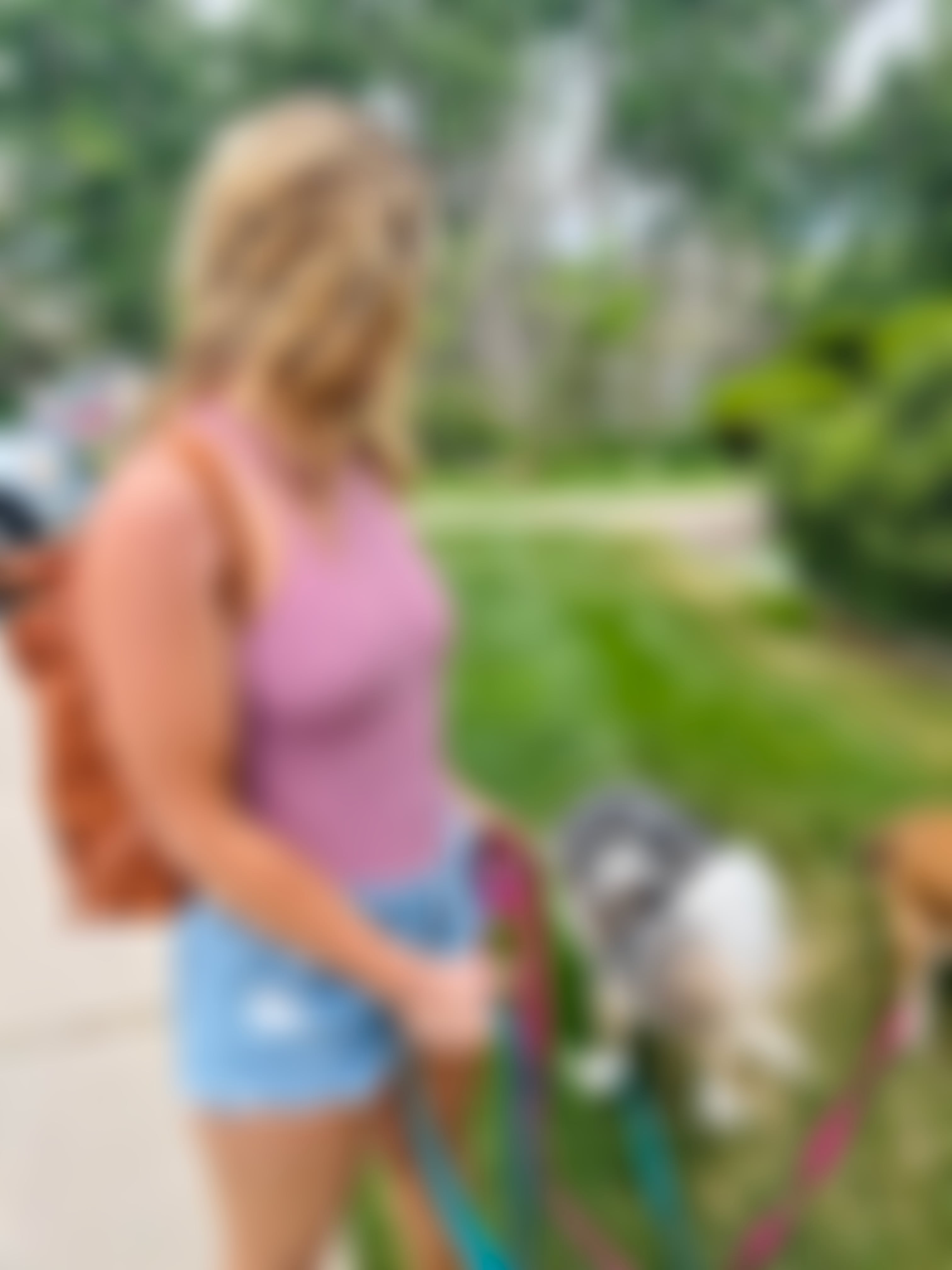 Definitely Got A Few Stares On This Dog Walk Hehe R Pokies Definitely Got A Few Stares On This Dog Walk Hehe R Pokies