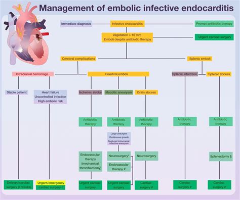 Embolic Risk Management In Infective Endocarditis Predicting The Embolic Roulette Open Heart