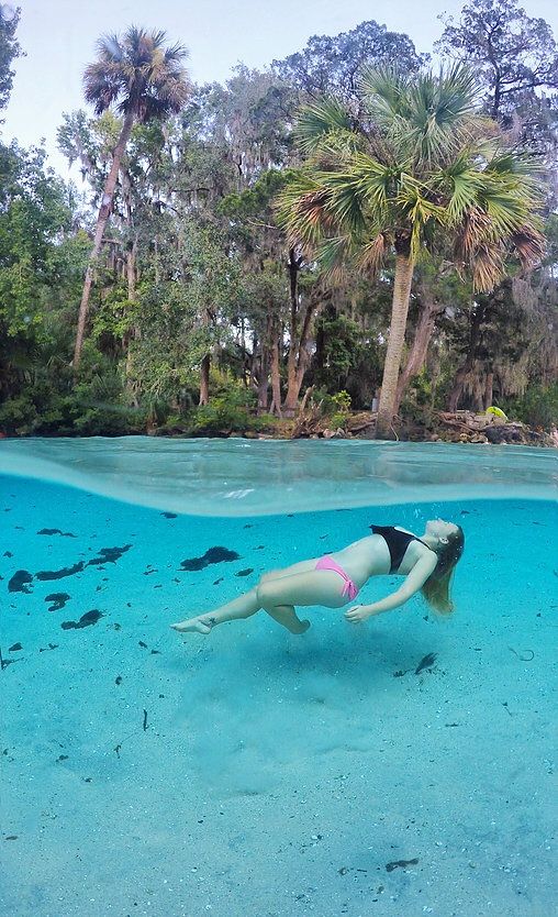 Exploring Silver Glen Springs Artofit