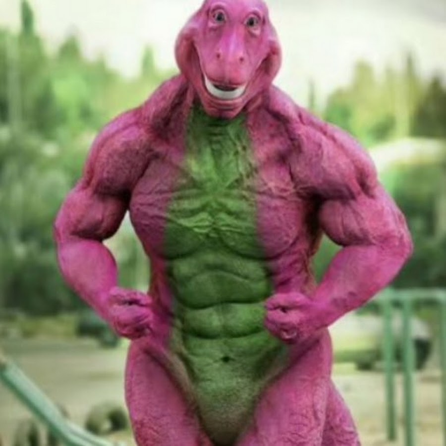 Unveiling the World of Orangebirdz Videos