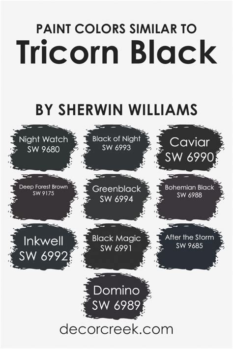 Tricorn Black Sw 6258 The Ultimate Guide To Sherwin Williams Amp 39 True Black A House In The Hills